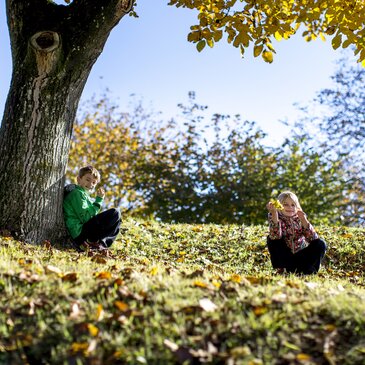 Kinder im Herbst