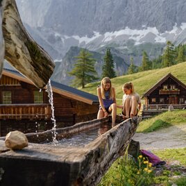 Neustattalm in Ramsau am Dachstein