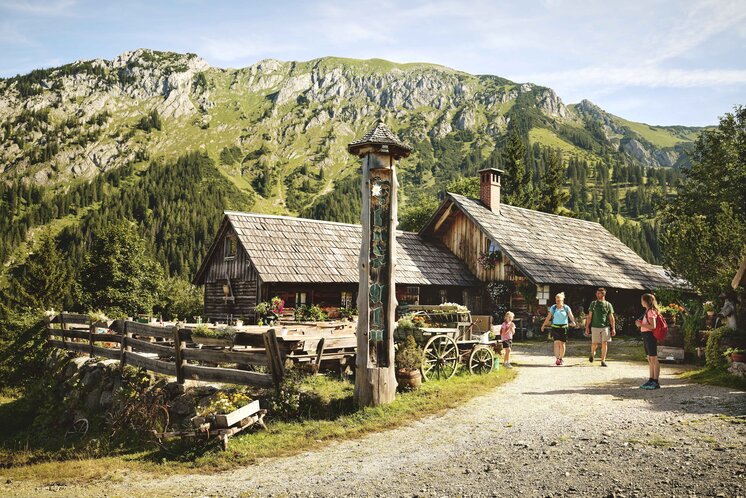 Stop off at the Ebneralm in the Gesäuse | © TV Gesäuse | Michael Königshofer