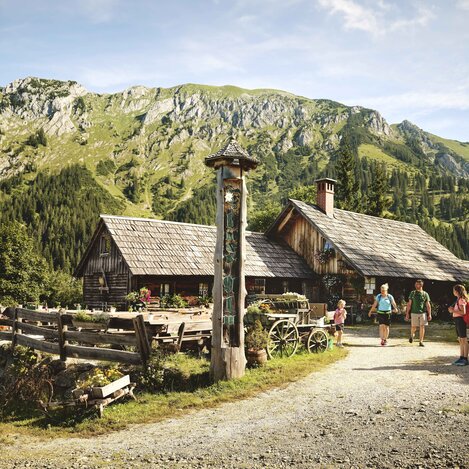 Einkehr auf der Ebneralm im Gesäuse | © TV Gesäuse | Michael Königshofer