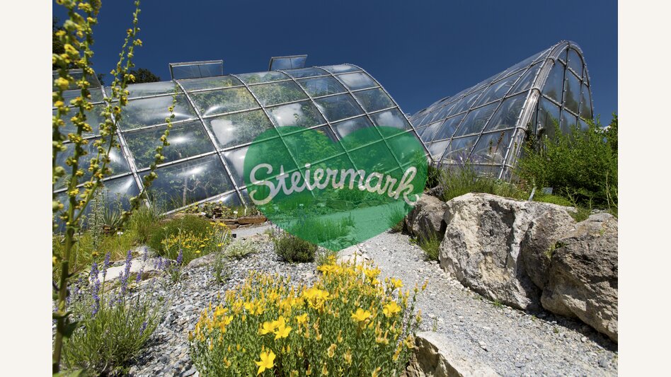 Botanischer Garten in Graz | © Graz Tourismus | Harry Schiffer