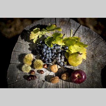 Culinary delights in autumn | © Steiermark Tourismus | Tom Lamm