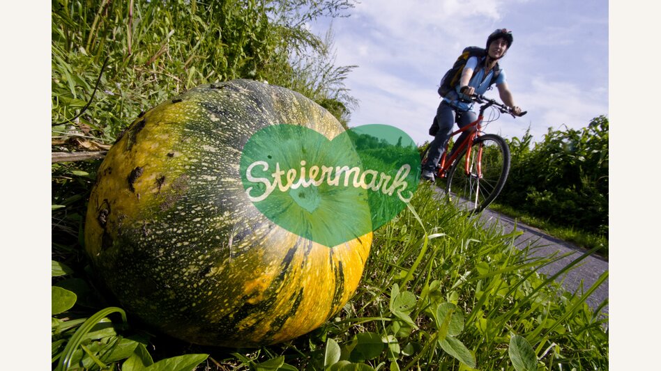 Kürbisfelder als Wegbegleuter | © STG | Gerhard Eisenschink | Nur für Pressezwecke!