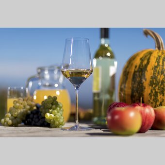 Wein, Apfel, Kürbis: die Lebenselixiere der Steirer. | © STG | Harry Schiffer