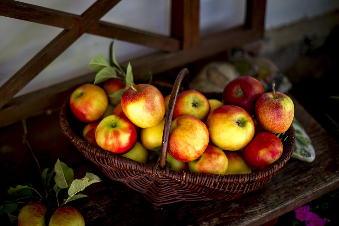 Der Herbst im Korb | © STG | Tom Lamm