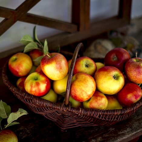 Der Herbst im Korb | © STG | Tom Lamm