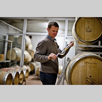 Winegrower Roland Tauss at work | © Steiermark Tourismus | Tom Lamm