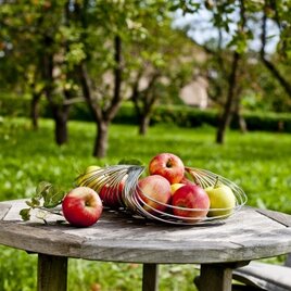 Apfel-Stillleben