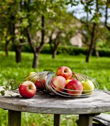 Apfel-Stillleben | © STG | Tom Lamm