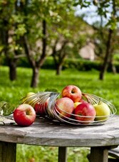 Apfel-Stillleben