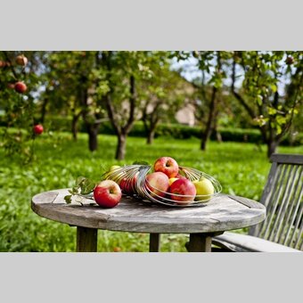 Apfel-Stillleben | © STG | Tom Lamm