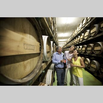 Manufaktur Gölles in Riegersburg | © Weinland Steiermark | Harald Eisenberger | Nur für Weinland-Nutzung
