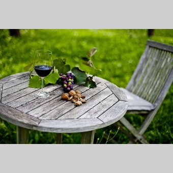 Genuss-Stillleben im Obstgarten | © STG | Tom Lamm