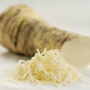 Steirischer Kren (Meerrettich) | © Feldbacher Fruit Partners/SteirerKren