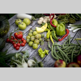Styrian delights: plenty and a large diversity | © Steiermark Tourismus | Tom Lamm