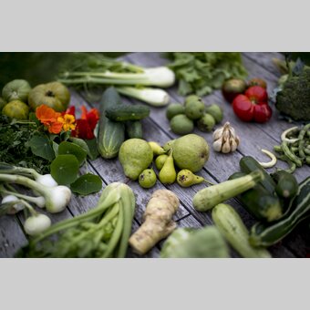 The culinary side of Styria: plenty and a large diversity | © Steiermark Tourismus | Tom Lamm