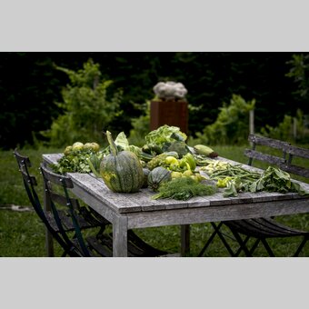 Styria: plenty of green | © Steiermark Tourismus | Tom Lamm