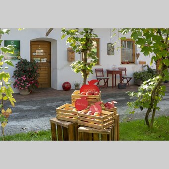 More than 100 kinds of fruit at the Bioobsthof Schloffer (biological farm) in Anger | © Steiermark Tourismus | www.johannesgeyer.com