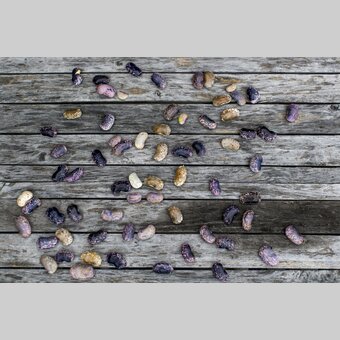 scarlet runner beans | © Steiermark Tourismus | Tom Lamm