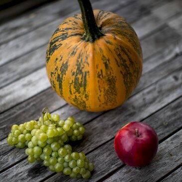 Die kulinarische Steiermark: Weintrauben, Apfel und Kürbis 