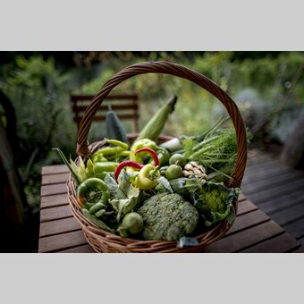 The culinary side of Styria: a basket of vegetables | © Steiermark Tourismus | Tom Lamm