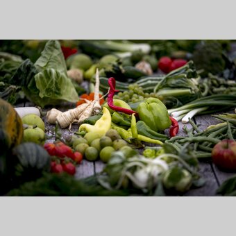 The culinary side of Styria: plenty and a large diversity | © Steiermark Tourismus | Tom Lamm