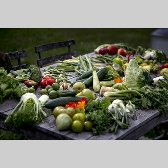 The culinary side of Styria: plenty and a large diversity | © Steiermark Tourismus | Tom Lamm