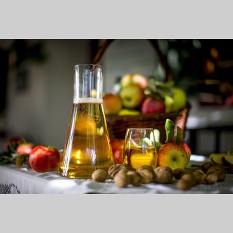 Apfel-Stillleben an der steirischen Apfelstraße | © STG | Tom Lamm
