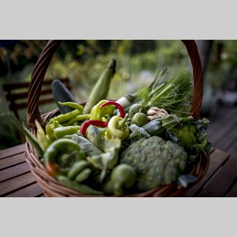 The culinary side of Styria: a basket of vegetables | © Steiermark Tourismus | Tom Lamm