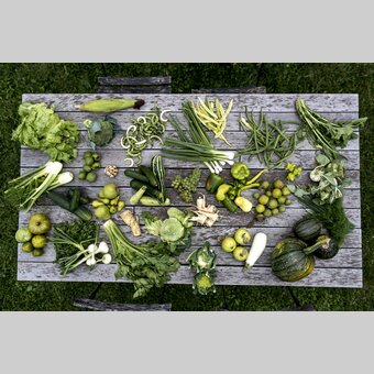 The culinary side of Styria: plenty of green and white | © Steiermark Tourismus | Tom Lamm