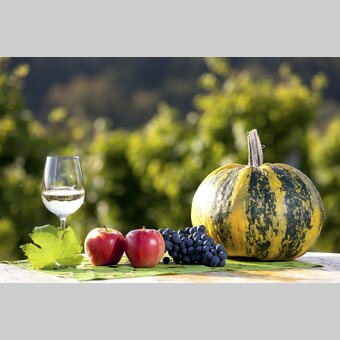 Die kulinarische Dreifaltigkeit: Wein, Apfel, Kürbis | © STG | Harry Schiffer | Nur für Pressezwecke!