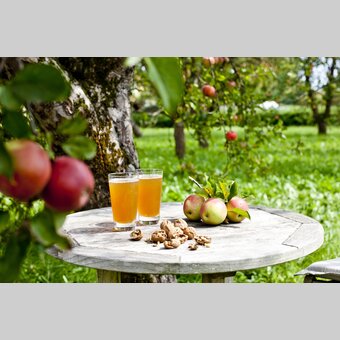 Apfel-Stillleben im Obstgarten | © STG | Tom Lamm