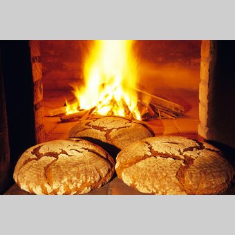 Brot-backen | © Steiermark Tourismus | Gery Wolf