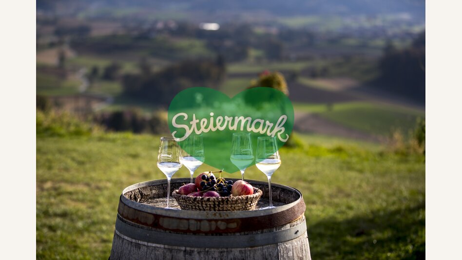 at the wine-growing estate Harkamp, St. Nikolai im Sausal | © Steiermark Tourismus | Tom Lamm