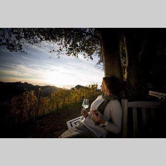 Glas Wein im Buschenschank Adam am Schererkogl, Gamlitz | © STG | Tom Lamm