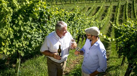 Wine tasting with winegrower Alois Gross in his vineyard, Ratsch at the wine route | © Steiermark Tourismus | Tom Lamm