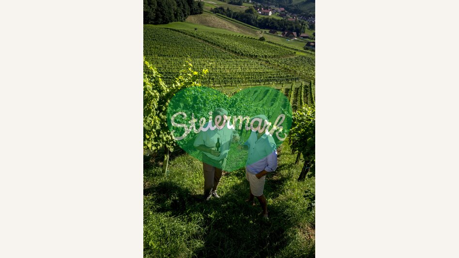 Wine tasting with winegrower Alois Gross in his vineyard, Ratsch at the wine route | © Steiermark Tourismus | Tom Lamm
