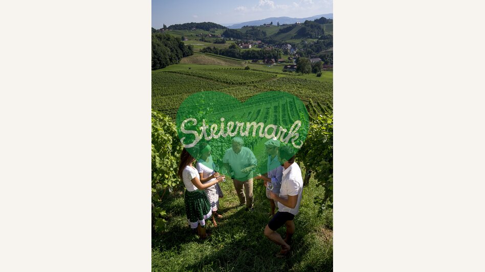 Weinverkostung mit dem Weinbauern Alois Gross im Weingarten, Ratsch a.d. Weinstraße  | © STG | Tom Lamm