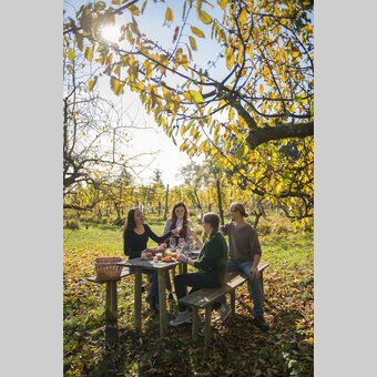 Jause im Weingarten und Weingut Winkler-Hermaden, Kapfenstein | © STG | Bernhard Bergmann