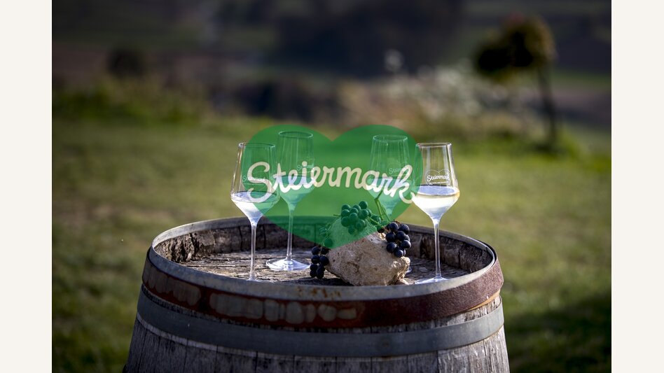 at the wine-growing estate Harkamp, St. Nikolai im Sausal | © Steiermark Tourismus | Tom Lamm