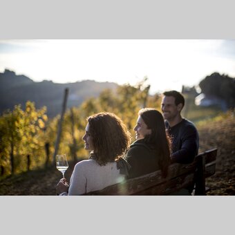 Stop at a Buschenschank during the Styrian Wine Country Cycling Tour: Adam at Schererkogl, Gamlitz | © Steiermark Tourismus | Tom Lamm