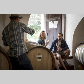 Wine tasting with Hans Söll, wine-growing estate Söll, Sernauberg | © Südsteiermark | Tom Lamm
