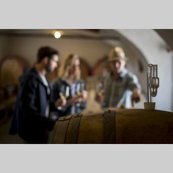 Wine tasting with Hans Söll, wine-growing estate Söll, Sernauberg | © Südsteiermark | Tom Lamm
