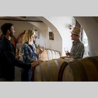 Wine tasting with Hans Söll, wine-growing estate Söll, Sernauberg | © Südsteiermark | Tom Lamm
