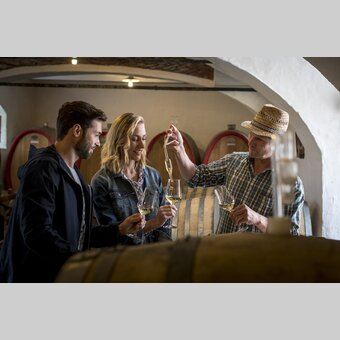 Wine tasting with Hans Söll, wine-growing estate Söll, Sernauberg | © Südsteiermark | Tom Lamm