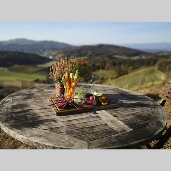 Meetings outdoors | © Steiermark Tourismus | Martina Haselwander