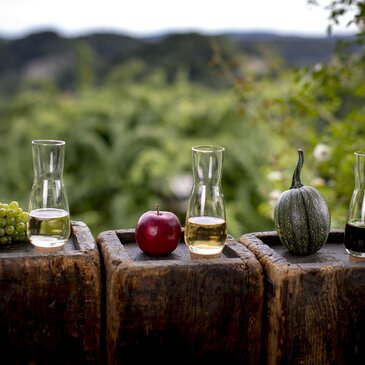 Die kulinarische Steiermark: Wein, Apfelsaft, Kürbiskernöl - die Süd & West Steiermark
