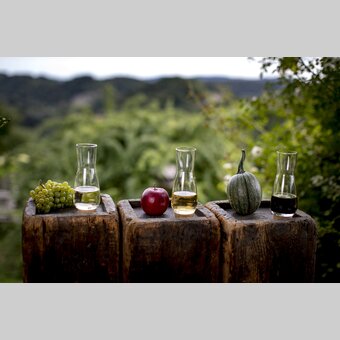 The culinary Styria: wine, apple juice, pumpkin seed oil - Southern & Western Styria | © Steiermark Tourismus | Tom Lamm