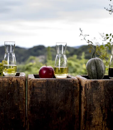 Die kulinarische Steiermark: Wein, Apfelsaft, Kürbiskernöl - die Süd & West Steiermark | © STG | Tom Lamm