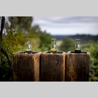 The culinary Styria: wine, apple juice, pumpkin seed oil - Southern & Western Styria | © Steiermark Tourismus | Tom Lamm